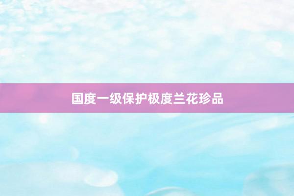 国度一级保护极度兰花珍品