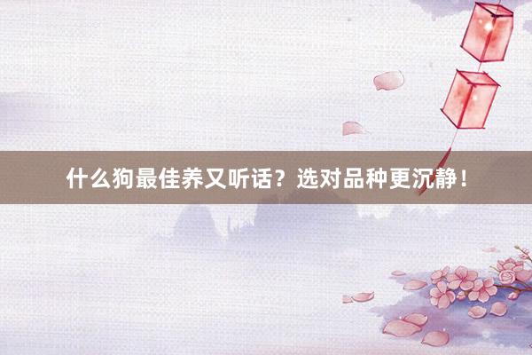 什么狗最佳养又听话？选对品种更沉静！