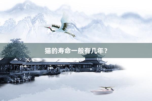 猫的寿命一般有几年?